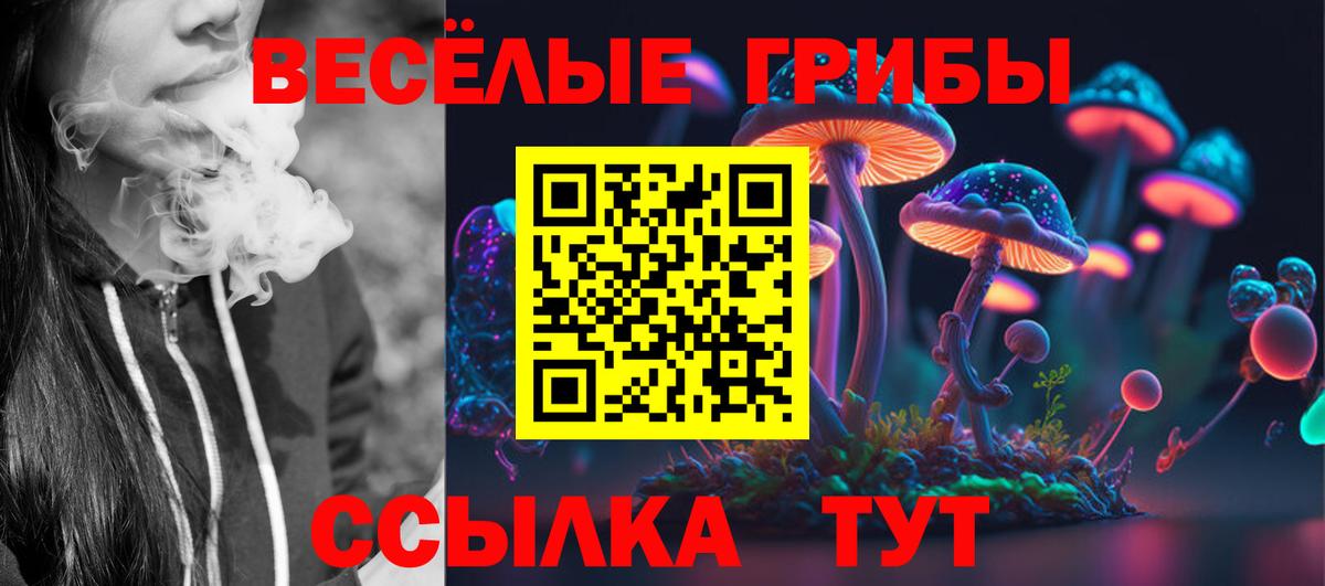 Псилоцибиновые грибы ЛСД Протвино